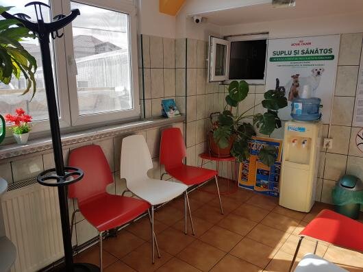 Carmen Vet - Cabinet veterinar, Bucuresti