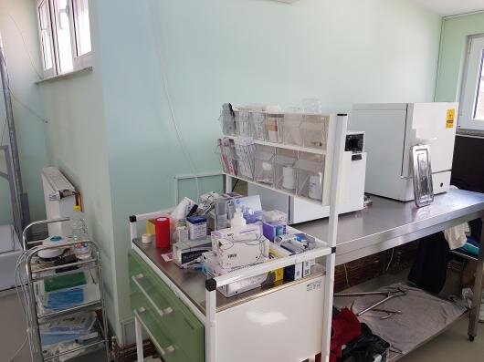 Carmen Vet - Cabinet veterinar, Bucuresti